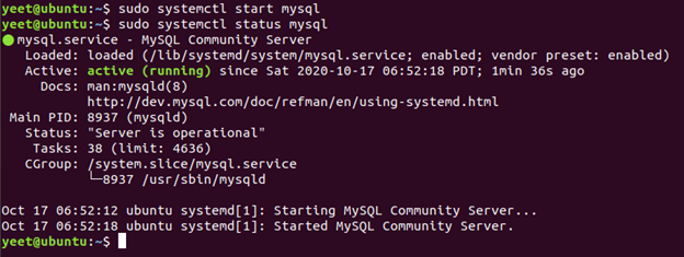 Loading the MySQL Dump